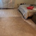 The Importance of Carpet Cleaning After Water Damage Restoration