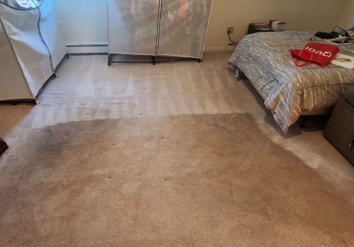 The Importance of Carpet Cleaning After Water Damage Restoration